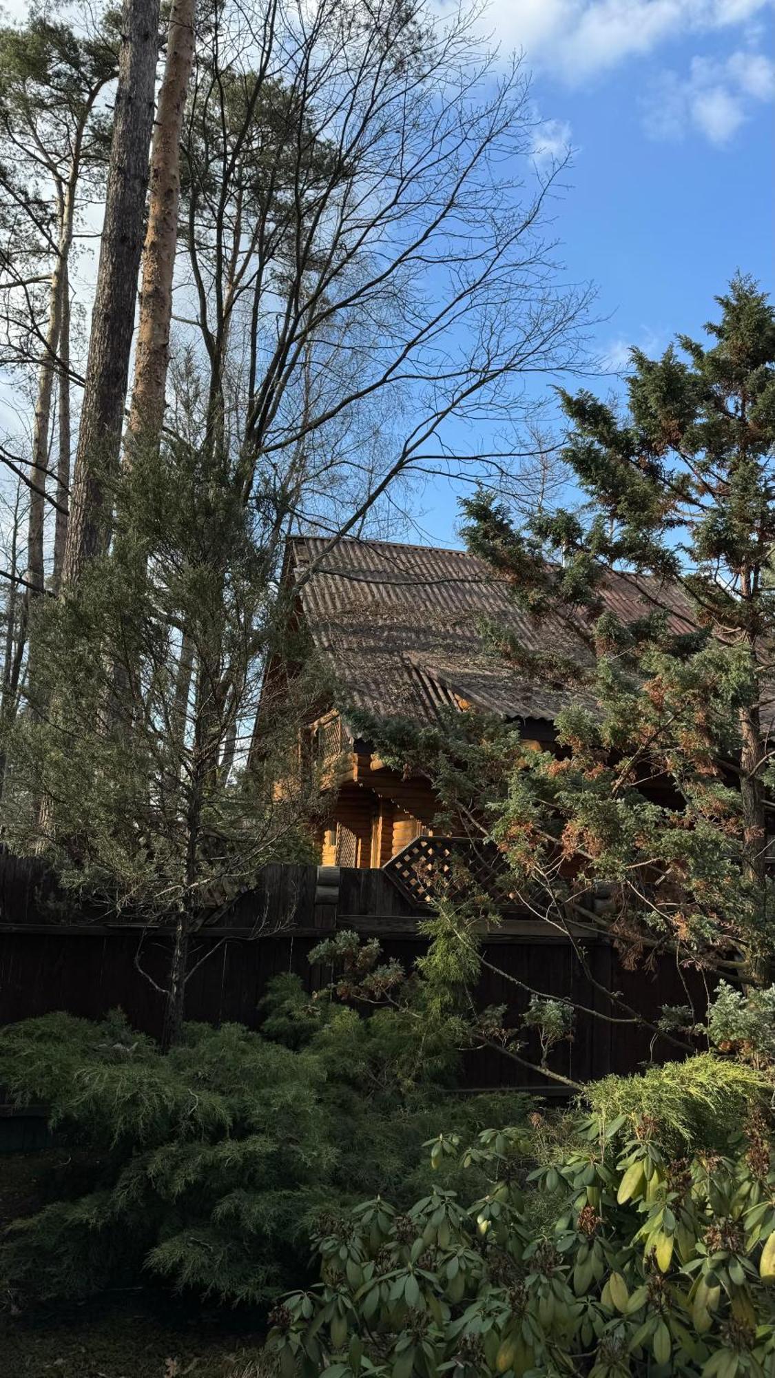 Tysha Forest Club Romankiv Luaran gambar