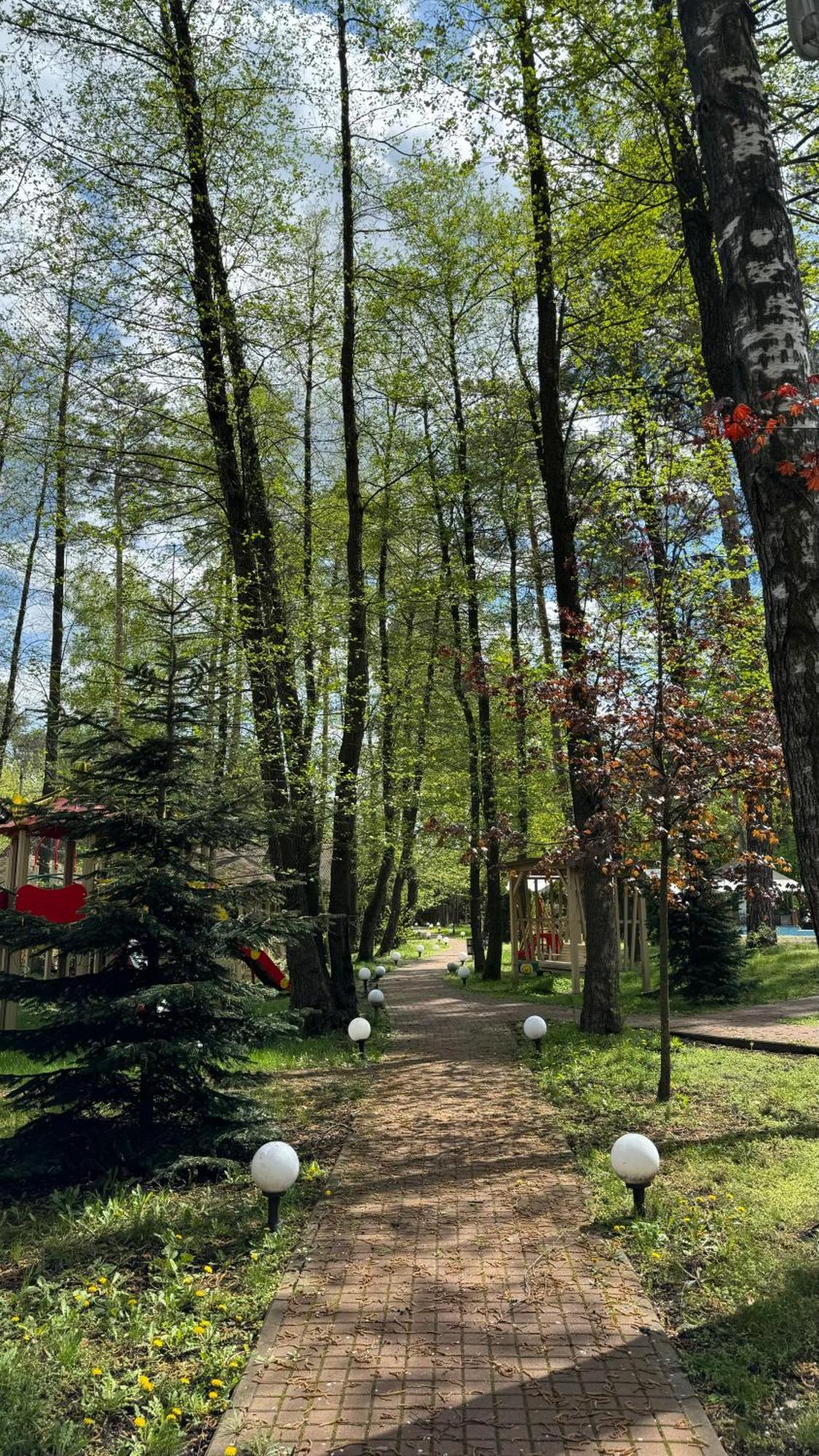 Tysha Forest Club Romankiv Luaran gambar